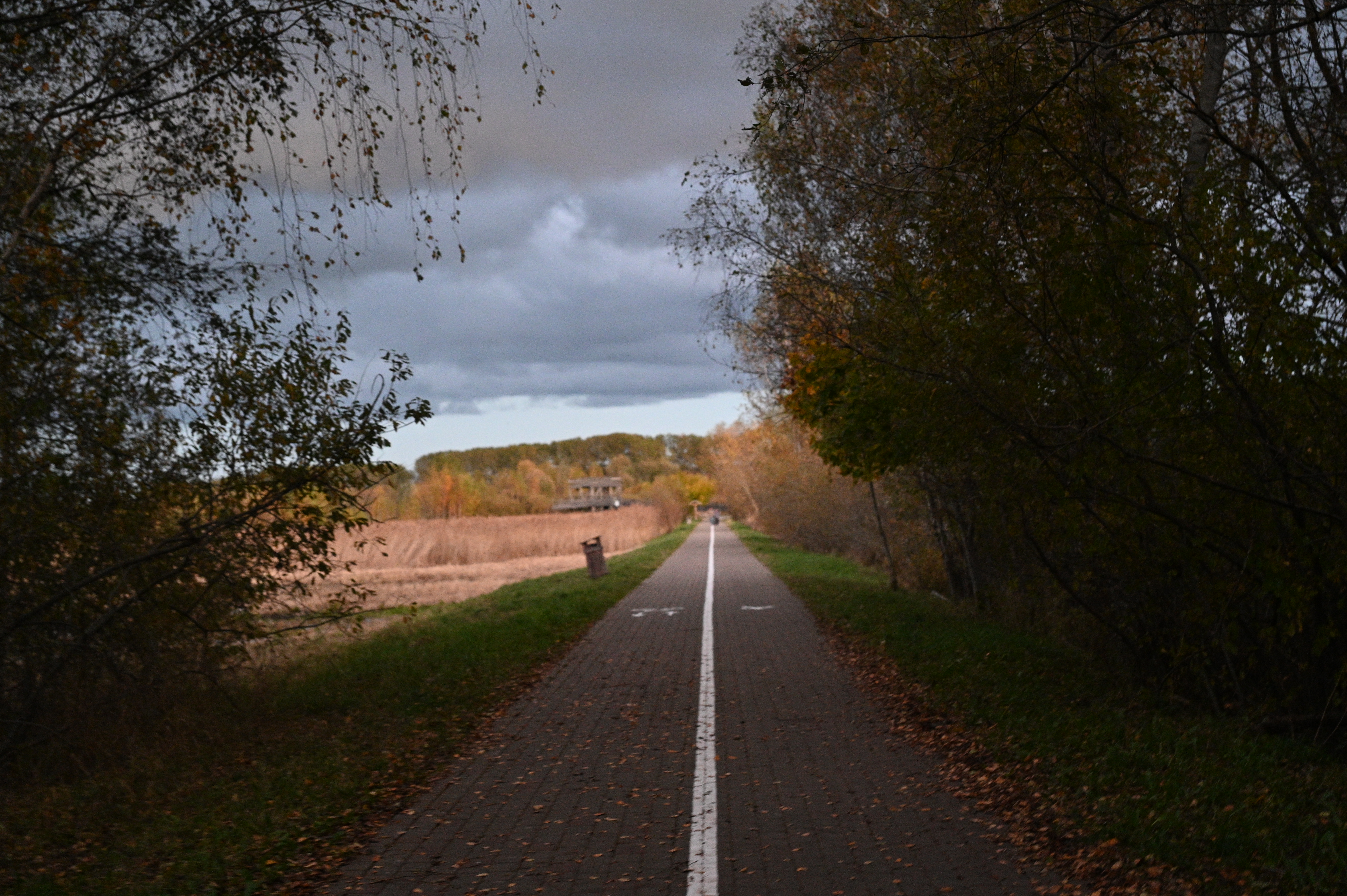 2025/10/18 - walk/DSC_0599.JPG